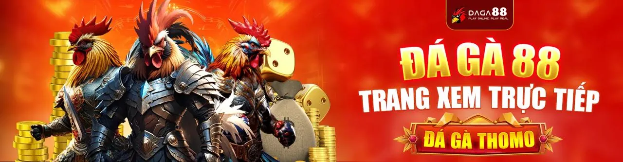 Hình ảnh nền các điều khoản và điều kiện của 189bet
